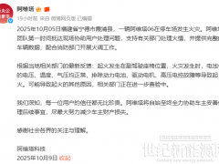 阿維塔發布“起火致8車燒毀”情況聲明